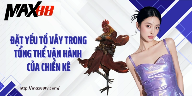 Đặt yếu tố vảy trong tổng thể vận hành của chiến kê
