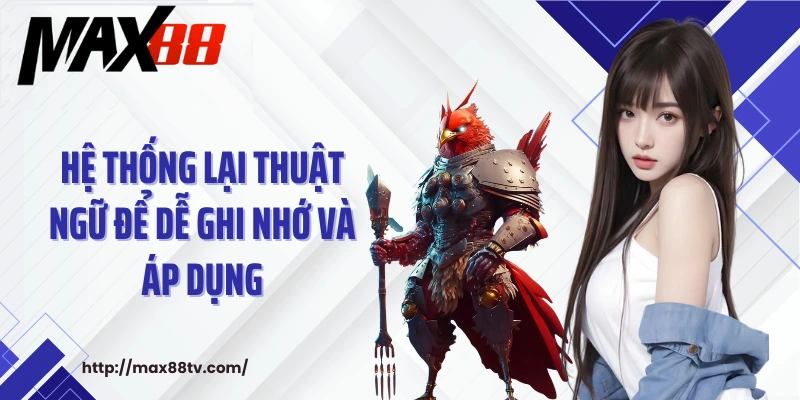 Hệ thống lại thuật ngữ để dễ ghi nhớ và áp dụng