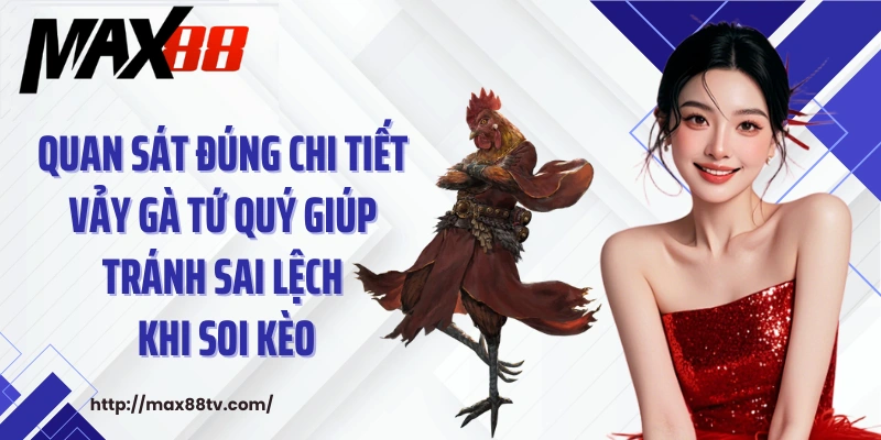 Quan sát đúng chi tiết vảy gà tứ quý giúp tránh sai lệch khi soi kèo