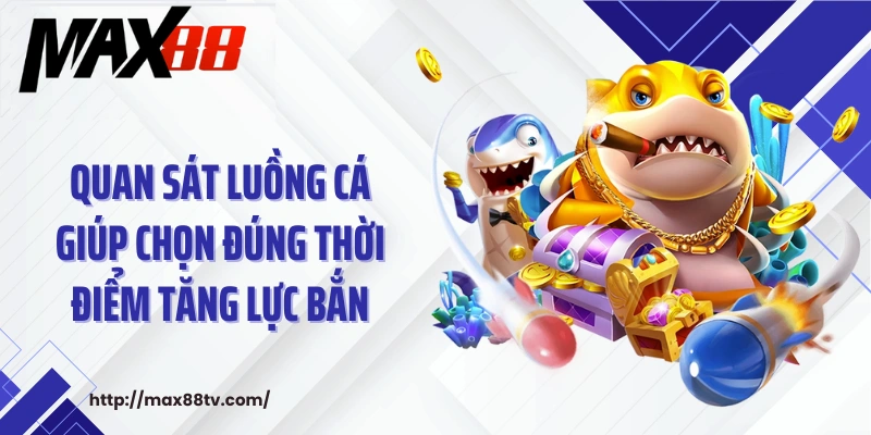 Quan sát luồng cá giúp chọn đúng thời điểm tăng lực bắn