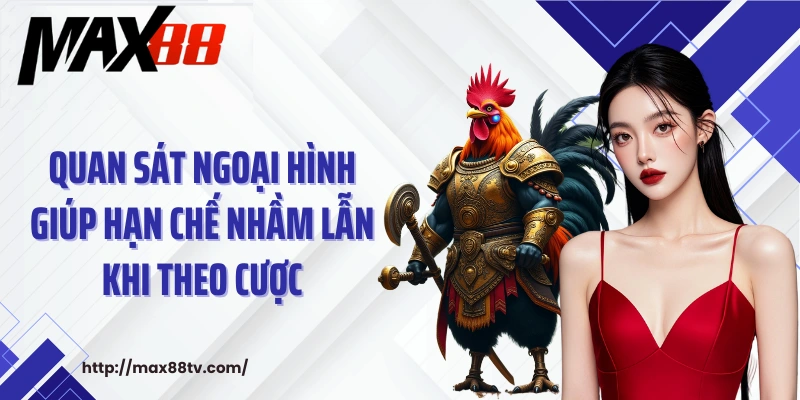 Quan sát ngoại hình giúp hạn chế nhầm lẫn khi theo cược